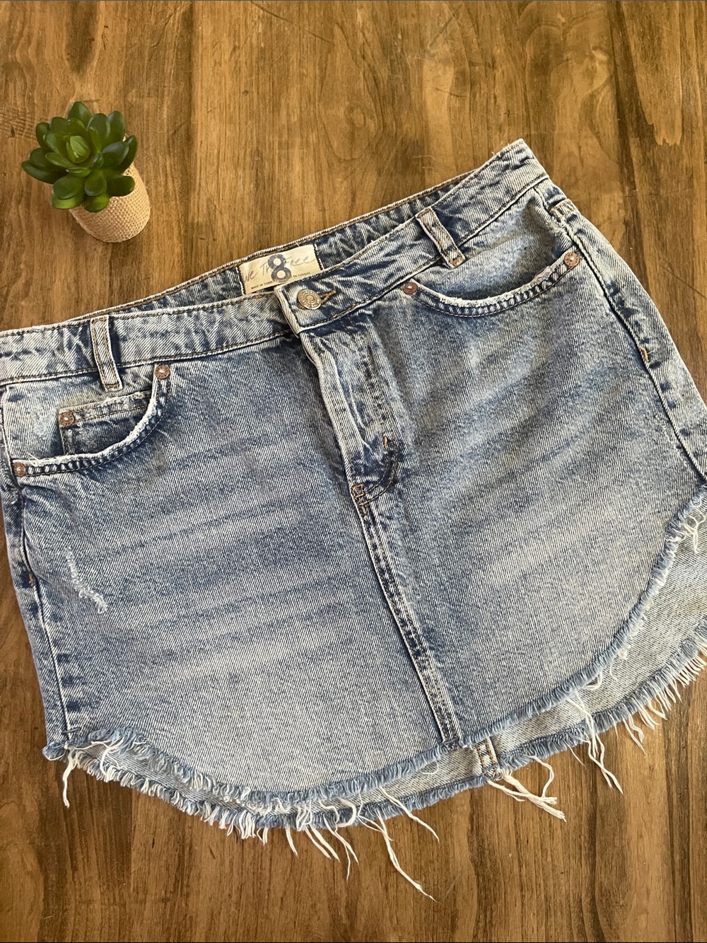 Free People Skirt